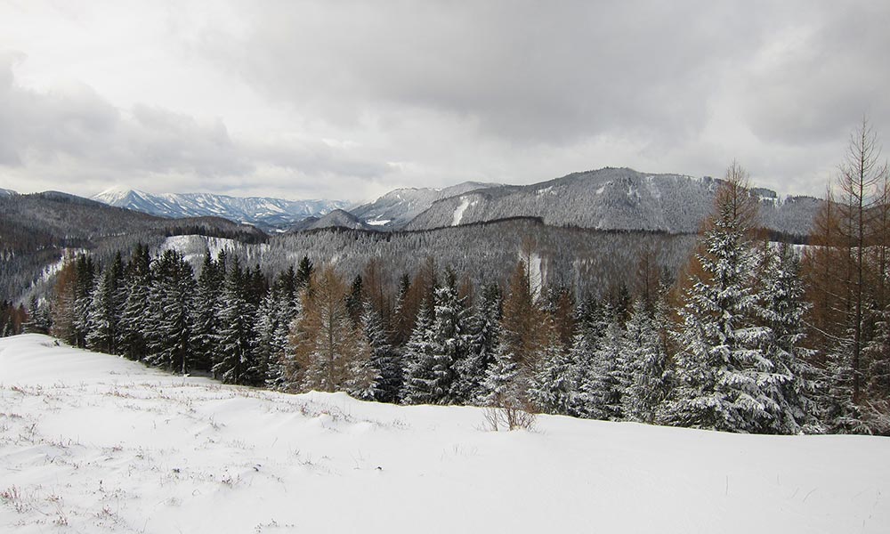 tirolerkogel